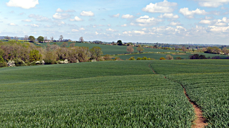 Waypoint 3